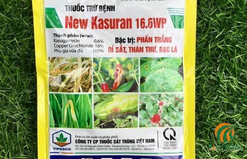 Thuốc New Kasuran 16.6WP điều trị bệnh loét trên cây có múi
