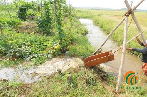 Sử dụng đòn bẫy tưới nước cho hoa màu