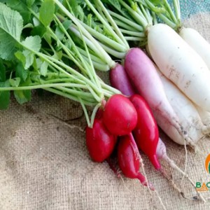 4 vấn đề thường gặp khi trồng củ cải
