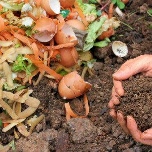 Cách tạo thùng phân ủ cho khu vườn của bạn.