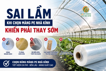 Sai lầm khi chọn màng PE nhà kính khiến phải thay sớm
